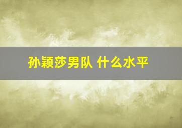 孙颖莎男队 什么水平